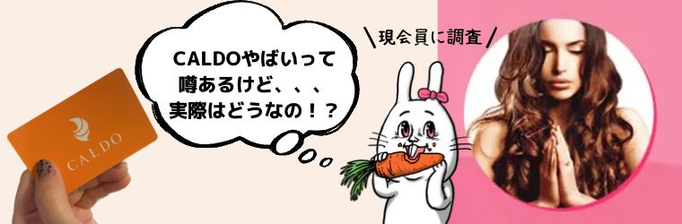 現会員に調査！CALDOやばいと噂の真相は？